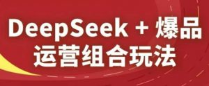 DeepSeek+爆品运营组合玩法，2025淘系精品课-木白网创