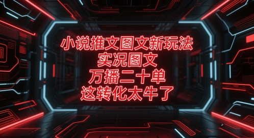 小说推文图文新玩法，实况图文，万播二十单，这转化太牛了！-木白网创