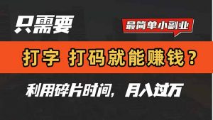 只需要打字，打码，就能赚钱？简单的赚钱小副业，利用碎片时间，月入过万-木白网创