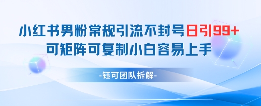 小红书男粉常规引流不封号日引99+变现简单 可矩阵可复制小白容易上手-木白网创