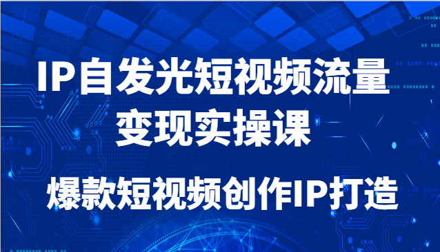 IP自发光短视频流量变现实操课，爆款短视频创作IP打造-木白网创