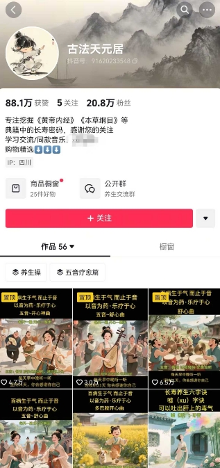 古法五音养生教程，五音疗愈的视频的制作方法，2-4小时就能学会，作者10天涨粉10W-木白网创