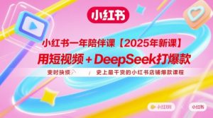 小红书一年陪伴课【2025年新课】，用短视频+deepSeek打爆款，史上最干货的小红书店铺爆款课程-木白网创