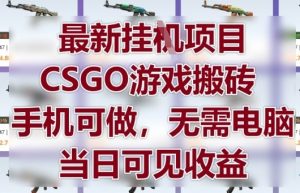 最新挂G项目，CSGO游戏搬砖，手机可做，无需电脑，当日见收益【揭秘】-木白网创