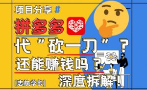 【2025最新】拼多多代坎助力项目深度拆解：还能挣钱吗?全流程玩法-木白网创