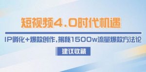 短视频4.0时代机遇：IP孵化+爆款创作，揭秘1500w流量爆款方法论-木白网创