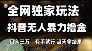 全网独家玩法抖音无人暴力撸金，月入3W，有手就行，当天拿结果【揭秘】-木白网创
