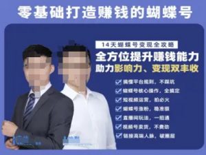 蝴蝶号专栏-视频号运营教程,零基础打造挣钱的蝴蝶号,14天蝴蝶号变现全攻略-木白网创