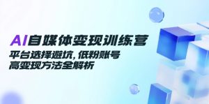 AI自媒体变现训练营，平台选择避坑，低粉账号高变现方法全解析-木白网创