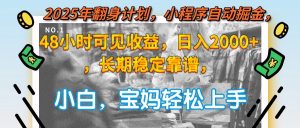 2025年翻身计划,小程序自动掘金48小时可见收益,日入2000+,长期稳定...-木白网创