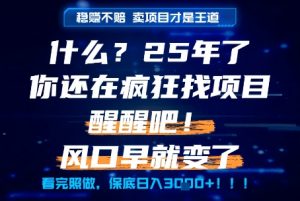 什么？25年你还在疯狂找项目做，醒醒吧，看完这些你全都懂了！【揭秘】-木白网创