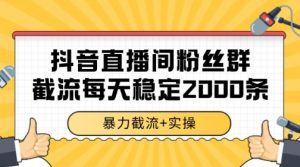 抖音直播间粉丝群暴力截流，一台电脑每天稳定2000条数据【揭秘】-木白网创