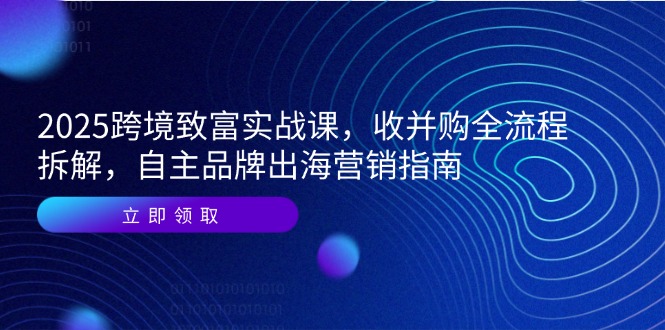 2025跨境致富实战课，收并购全流程拆解，自主品牌出海营销指南-木白网创