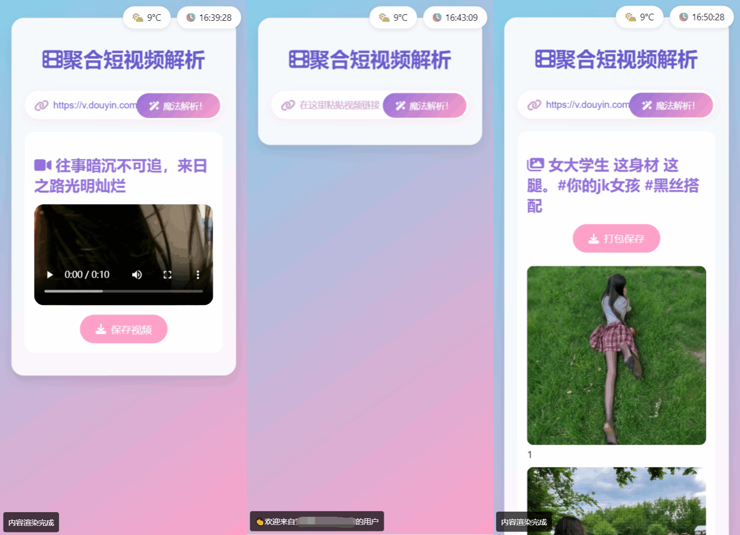 全新二次元聚合短视频解析去水印系统源码 自适应双端-木白网创