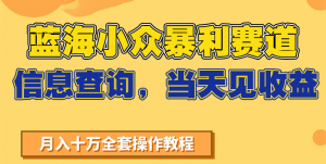蓝海小众暴利赛道，信息查询，当天见收益，不讲玄学，7天搞了2万+-木白网创