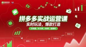 拼多多实战运营课，实时玩法，爆款打造，改销量，补大单，AB单，直播等(更新2025月)-木白网创