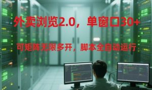 外卖浏览2.0，单窗口30+可矩阵无限多开，脚本全自动运行【揭秘】-木白网创