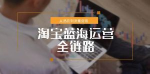 淘宝蓝海运营全链路，从选品到流量变现，小类目突围完整方案-木白网创