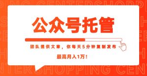 【公众号托管 】我提供文章，你每天５分钟复制发布，最高月入1W-木白网创