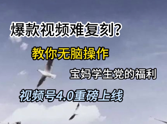视频号4.0重磅上线，爆款视频难复刻？教你无脑操作宝妈学生党的福利【揭秘】-木白网创