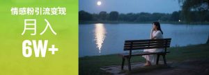 情感粉引流变现实操课：单月变现6w+，情感粉引流变现实操课-木白网创