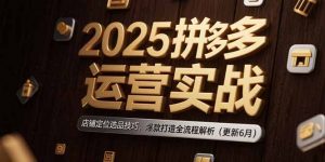2025拼多多运营实战:店铺定位选品技巧,爆款打造全流程解析(更新6月-木白网创
