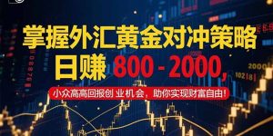 掌握外汇黄金对冲策略，日赚 800 - 2000，小众高回报创业机会，助你实...-木白网创