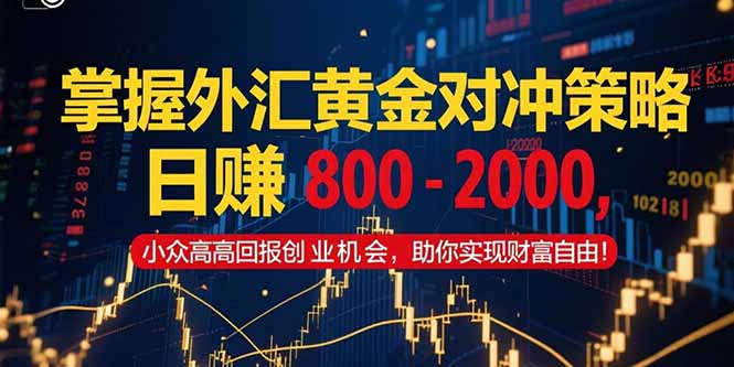 掌握外汇黄金对冲策略，日赚 800 – 2000，小众高回报创业机会，助你实…-木白网创