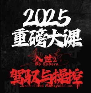 2025重磅大课，入世2，驾驭与控制-木白网创