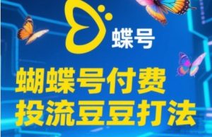 2025蝴蝶号付费投流豆豆打法，助新手快速掌握付费流量撬动自然流的核心玩法-木白网创