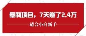 最新暴利项目，每单收益轻松在300以上，7天赚了2.4万-木白网创