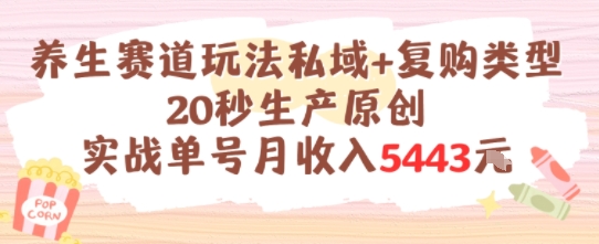 养生赛道玩法私域+复购类型，20秒生产原创实战单号月收入5k+-木白网创