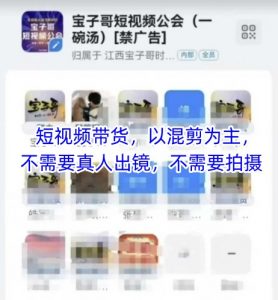 宝子哥头部团队短视频带货，以混剪为主，不需要真人出镜，不需要拍摄【更新6月】-木白网创