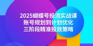 2025蝴蝶号投流实战课，账号规划到计划优化，三阶段精准投放策略-木白网创