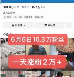 外面卖5000最新抖音搬运涨粉技术，新玩法，一分钟一条，一天涨粉2W，苹果安卓都可用-木白网创