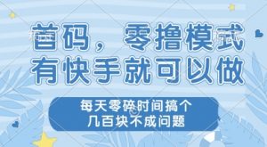 首码零撸项目，有快手就可以做，每天业务时间搞个几张不是问题【揭秘】-木白网创