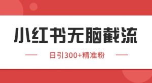 小红书截流同行客源，独家野路子获客玩法 日引200+暴力获客【揭秘】-木白网创
