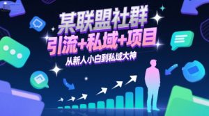 某联盟社群，引流+私域+项目，从新人小白到私域大神-木白网创