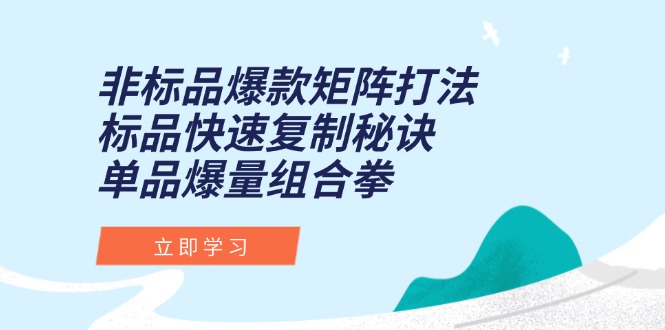 非标品爆款矩阵打法，标品快速复制秘诀，单品爆量组合拳-木白网创