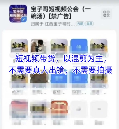 宝子哥头部团队短视频带货，以混剪为主，不需要真人出镜，不需要拍摄【更新】-木白网创