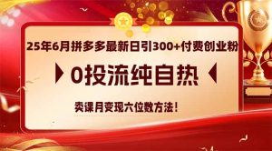 25年6月拼多多最新日引300+付费创业粉，0投流纯自热 卖课月变现六位数方法-木白网创