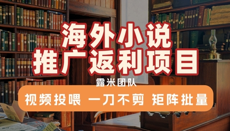 海外小说推广返利项目，视频投喂， 一刀不剪，矩阵批量-木白网创