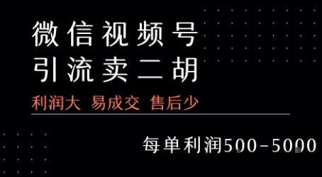 视频号卖二胡教程，利润大 易成交 售后少，一单利润5张+-木白网创