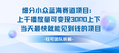 小众蓝海赛道项目：当天变现1k+适合新手操作 +适合长期玩-木白网创