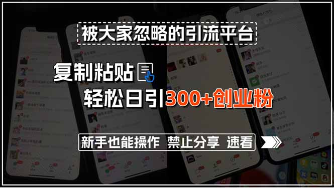 被大家忽略的引流平台，复制粘贴轻松日引300+创业粉，新手也能操作，禁…-木白网创