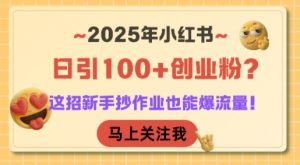 2025年小红书日引100+创业粉?这招新手抄作业也能爆流量!-木白网创