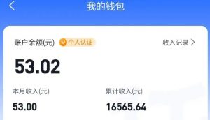 适合空闲时间操作的小红书低保项目，小红薯发布笔记，单个账号每天可获得2-12元左右-木白网创