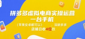 拼多多虚拟电商实操运营，一台手机(苹果安卓都可以)，深耕多多店铺日收4位数-木白网创
