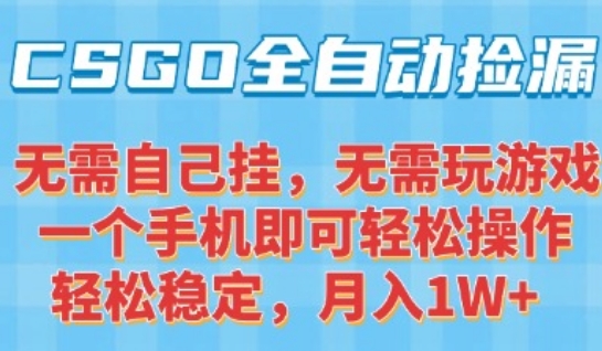 CSGO自动捡漏项目，最新独家玩法，一个手机可操作，新手小白轻松月入1W+，操作简单易上手【揭秘】-木白网创