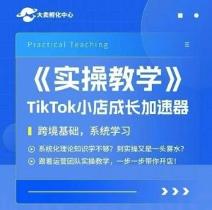 大卖家孵化中心TikTok实操课，TikTok小店成长加速器，跨境基础系统学习，一步一步带你开店-木白网创